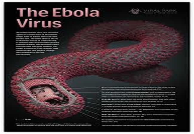 Hướng dẫn mới chẩn đoán và điều trị bệnh do vi rút ebola